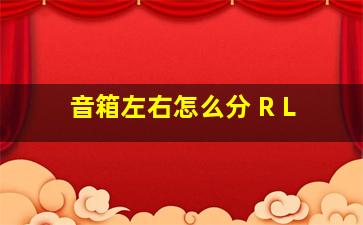 音箱左右怎么分 R L